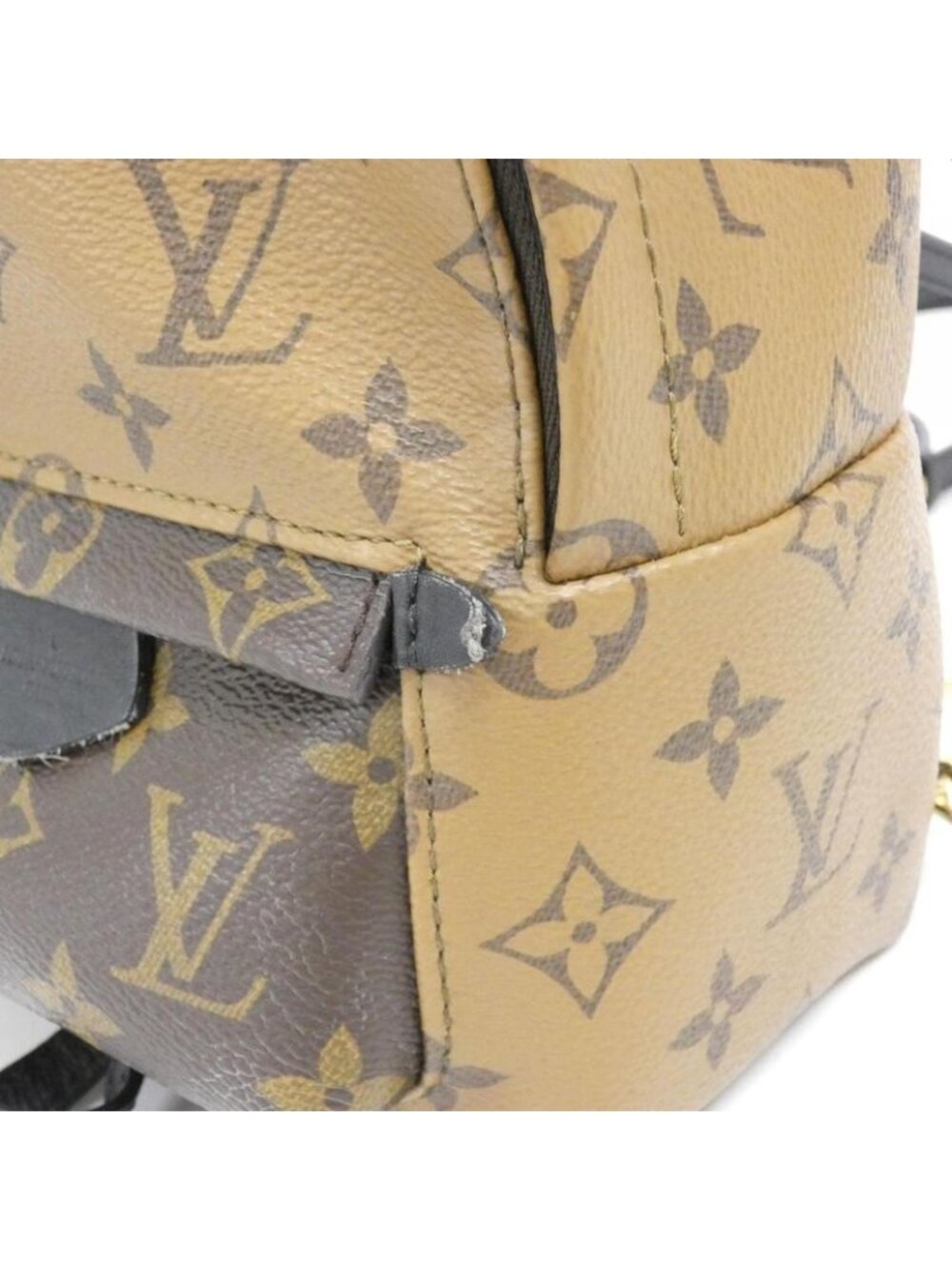 Louis Vuitton Monogram Reverse Palm Spring Backpack Mini Sac - Picture 5 of 10